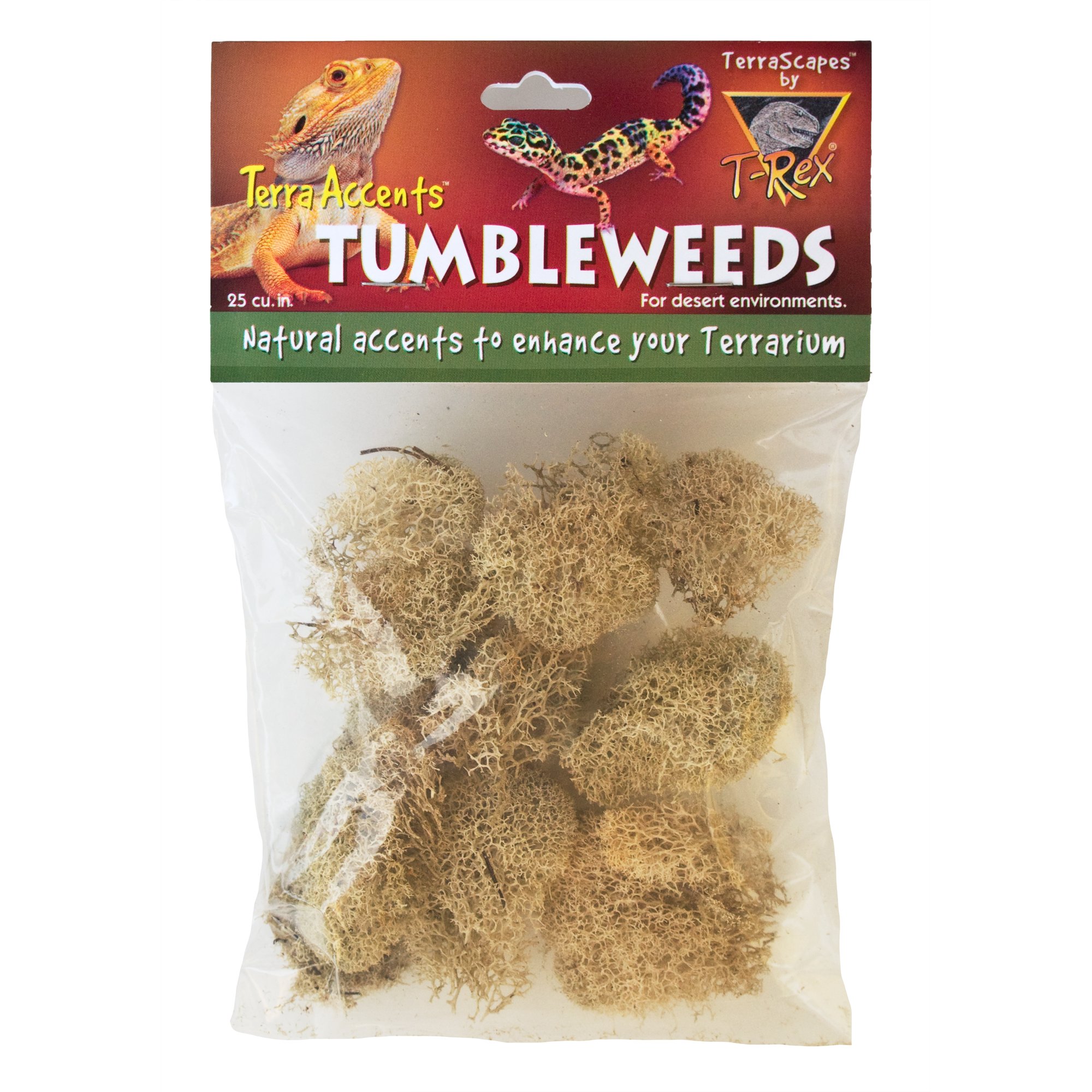 T-Rex Terra Accents Tumbleweeds