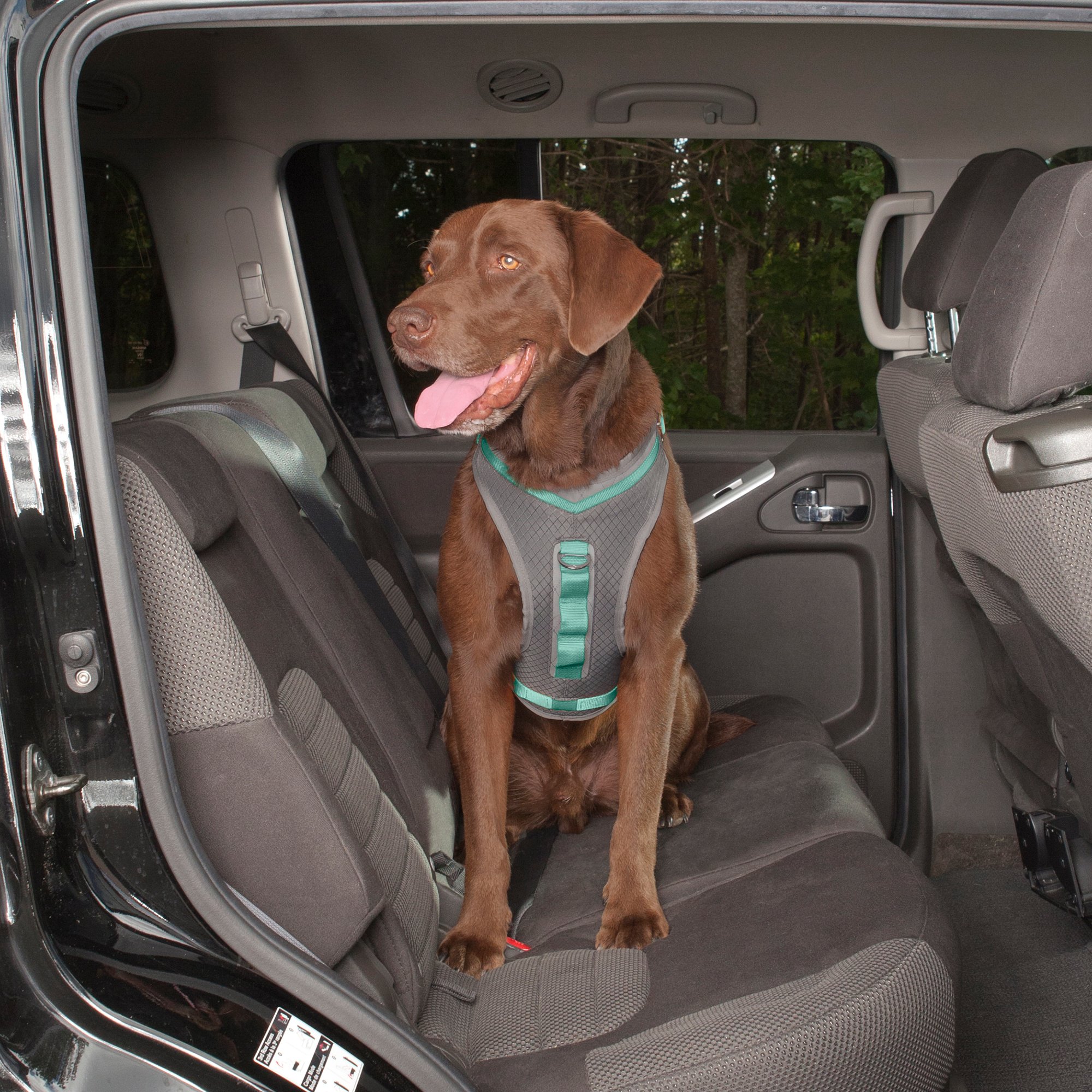 Kurgo Gray & Turquoise Journey Dog Harness Petco
