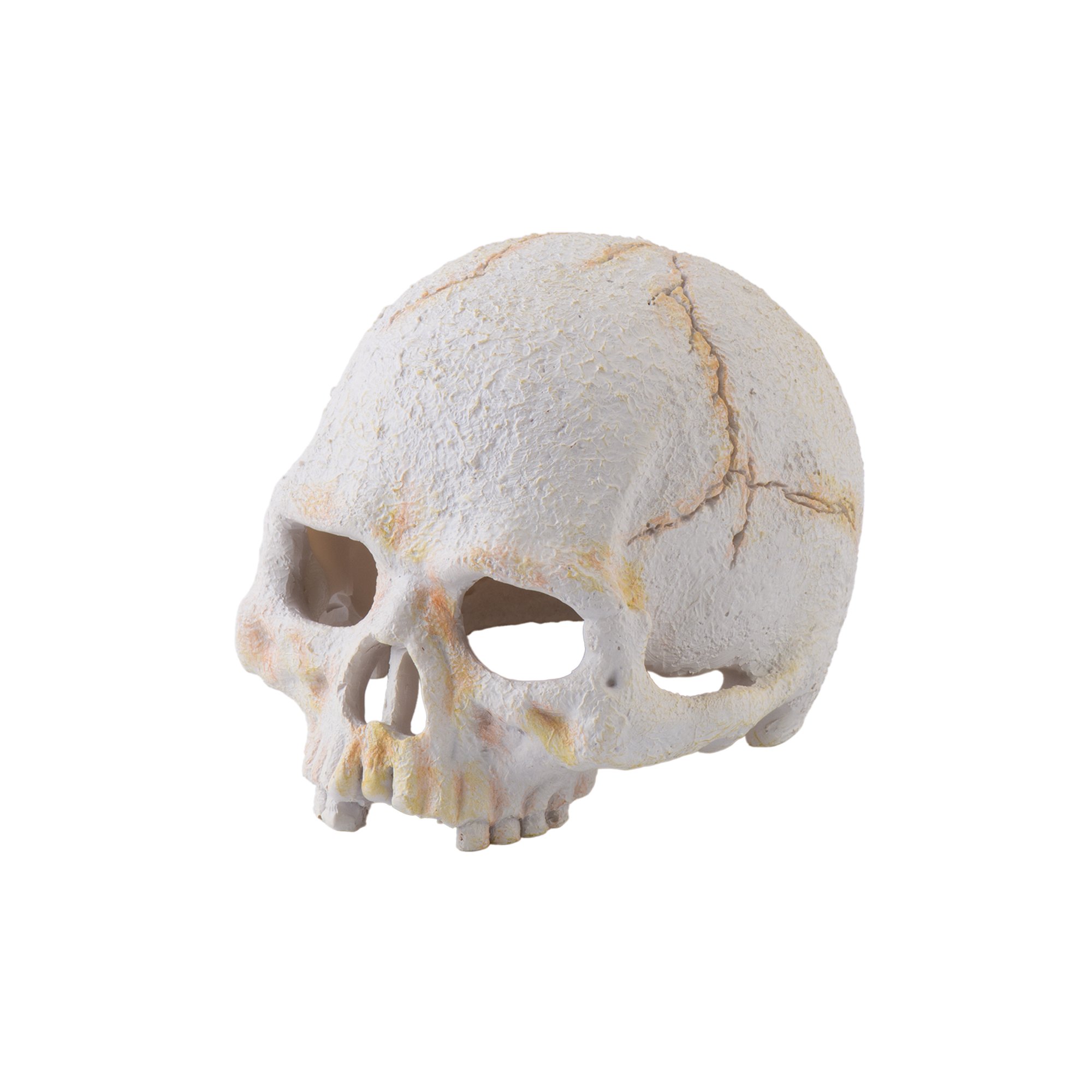 Exo-Terra Primate Skull Secure Hiding Place