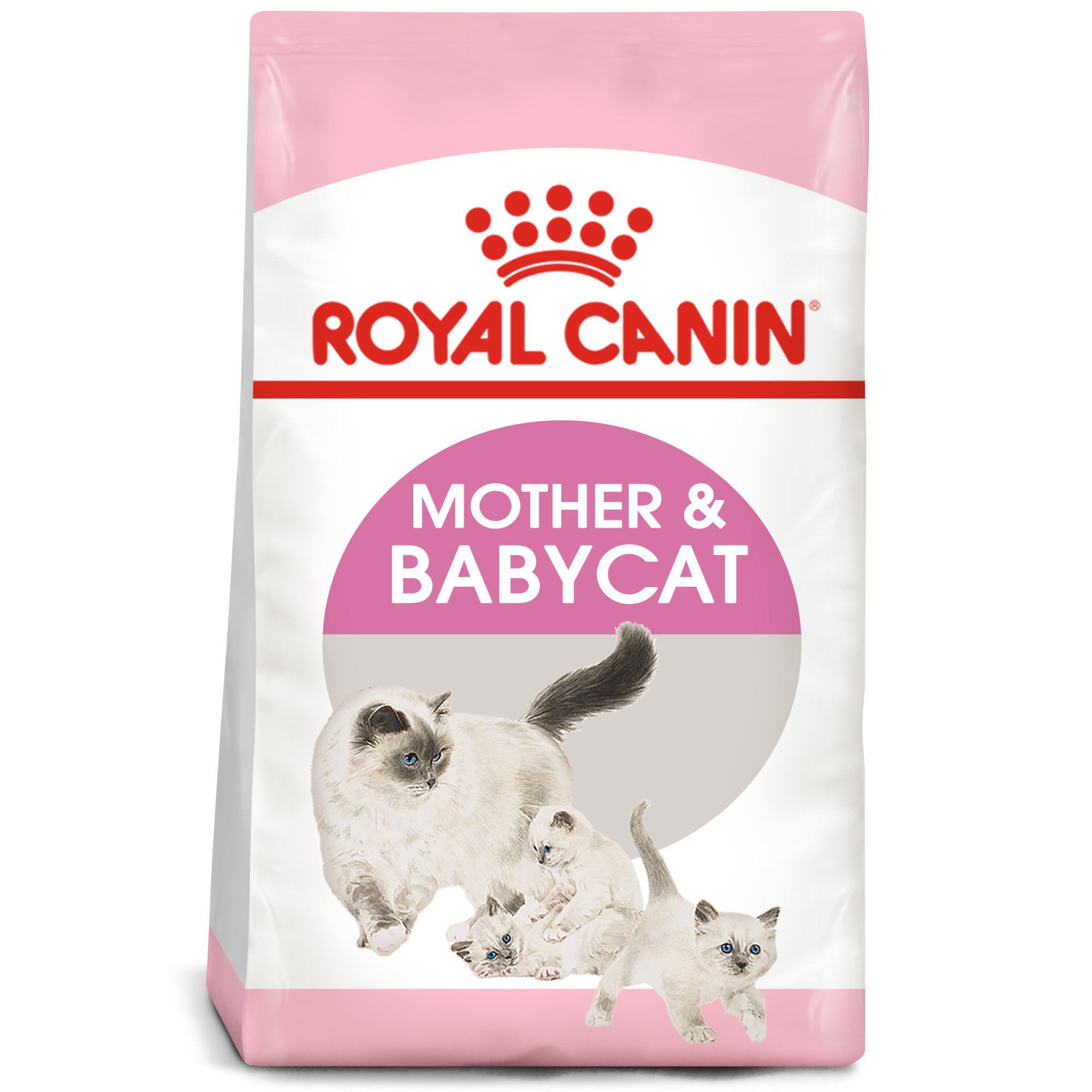 Babycat food