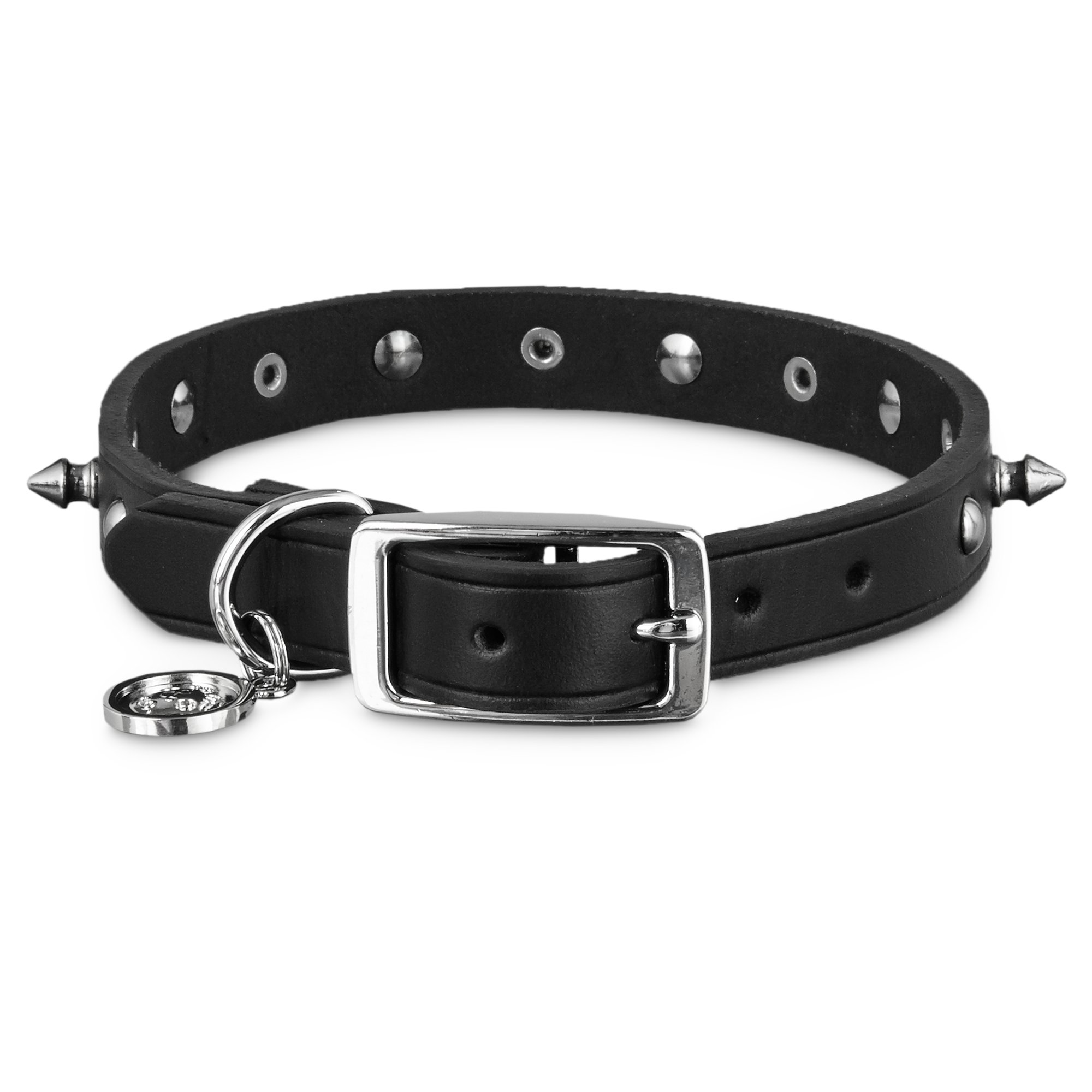 Bond & Co. Black Leather Spike Dog Collar Petco