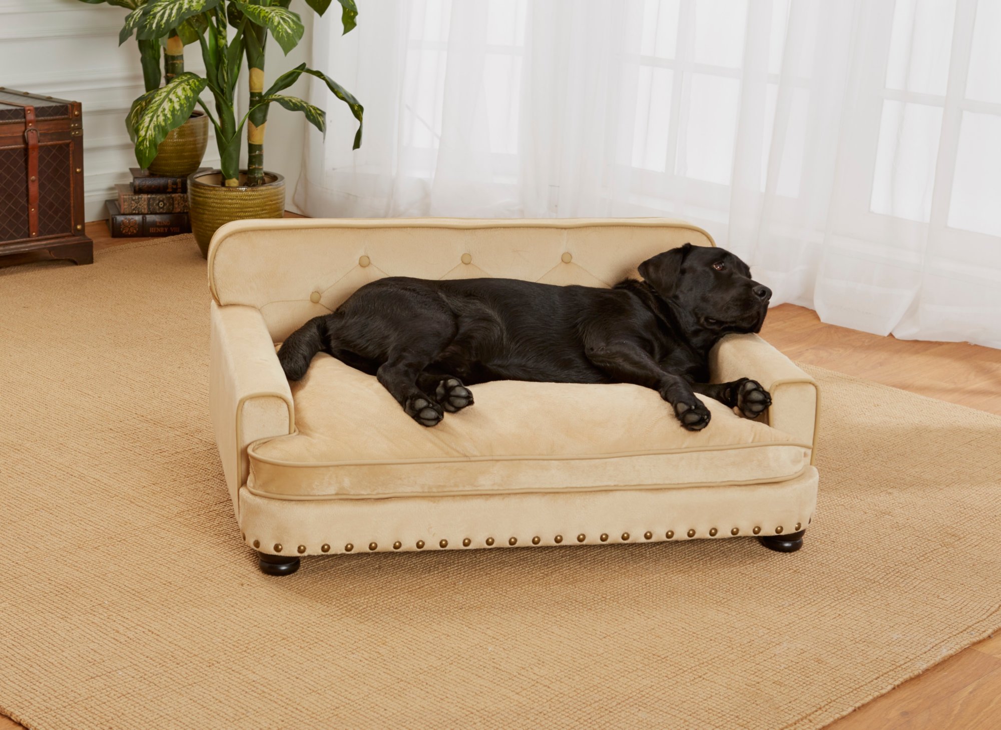 Enchanted Home Pet Caramel Ultra Plush Library Pet Sofa Petco