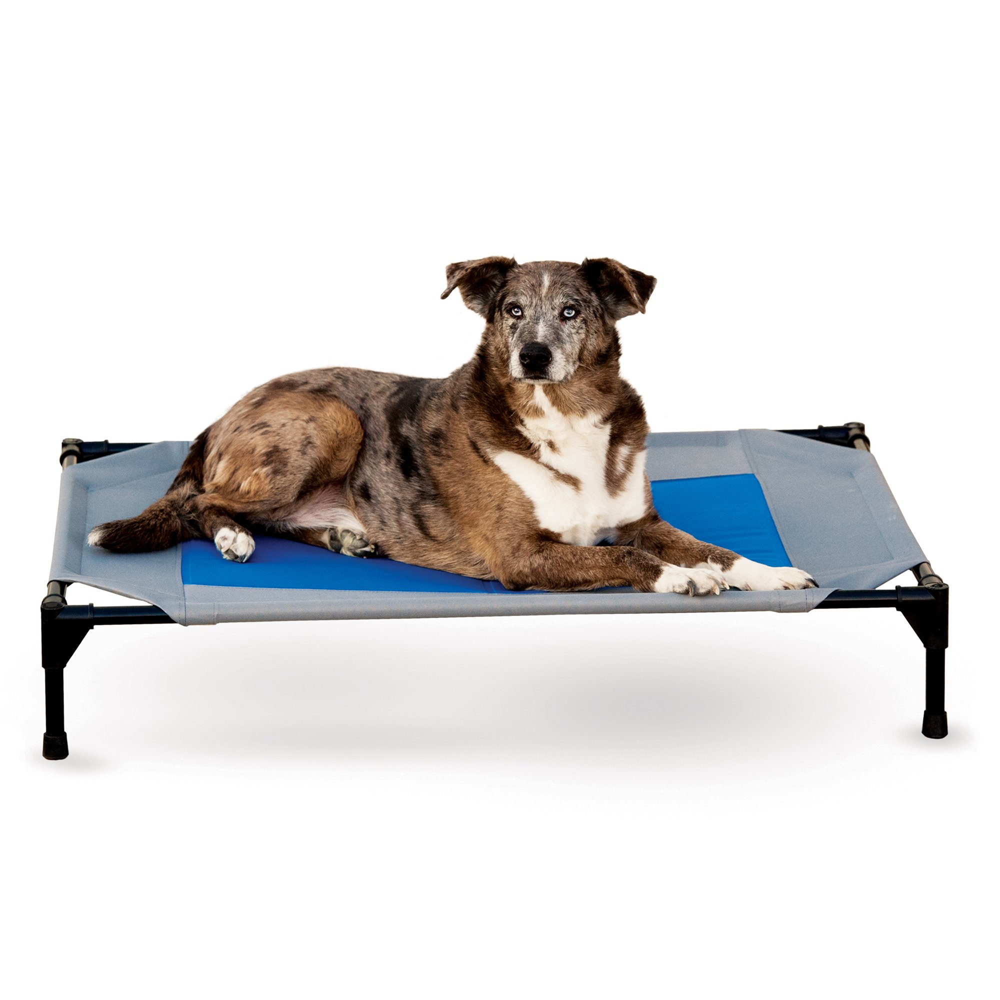 Petco Dog Supplies 98 - a6rip36