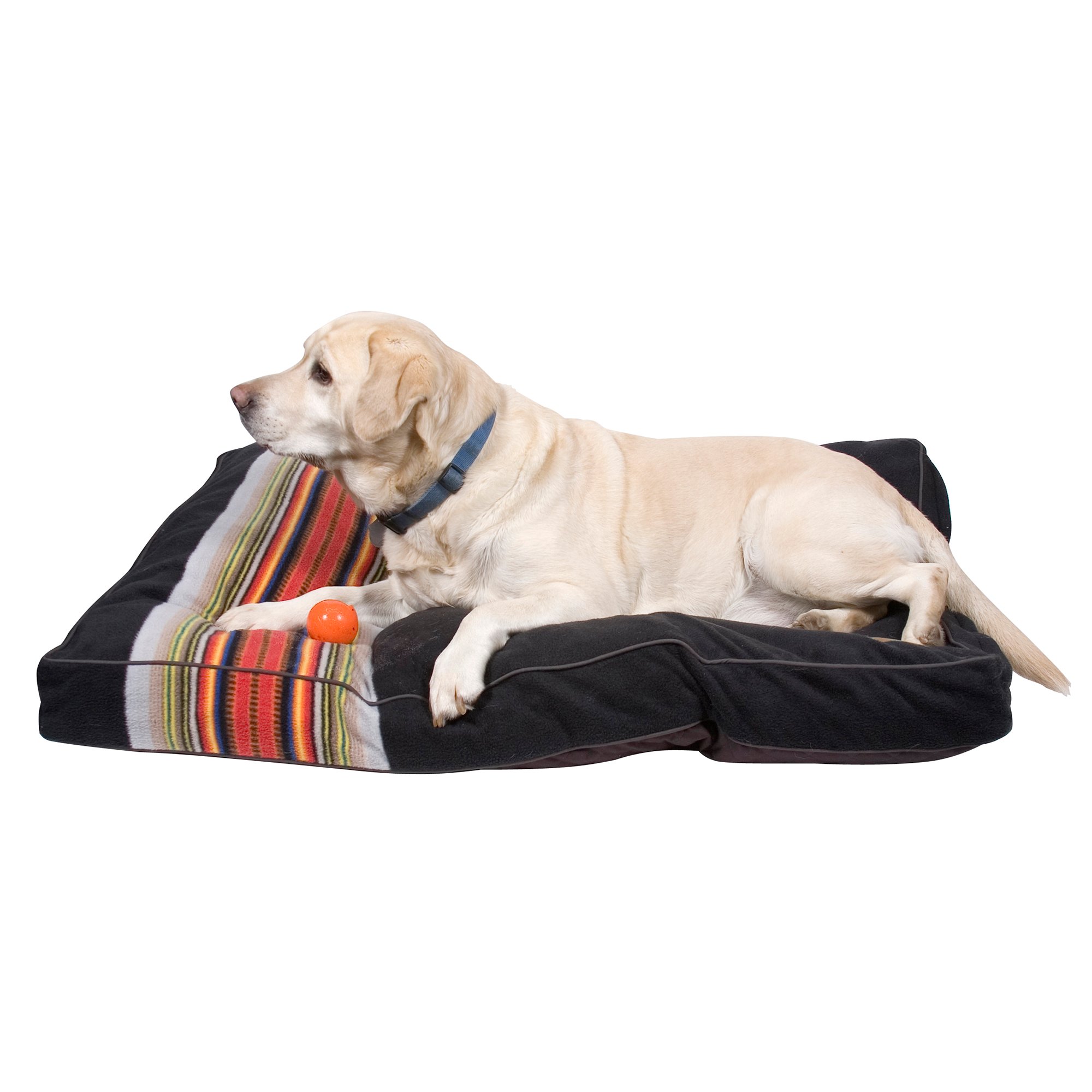 Pendleton Acadia National Park Dog Bed Petco Store