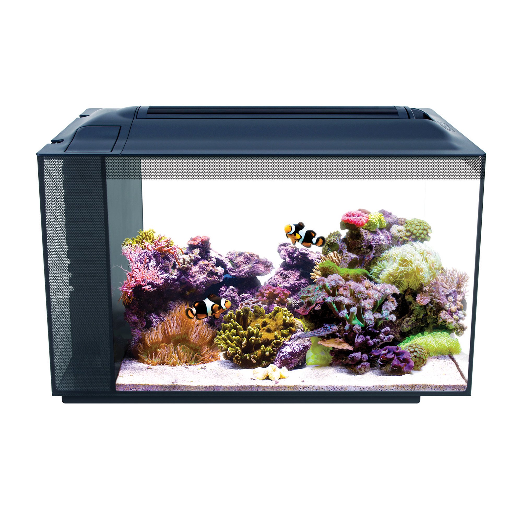 Fluval EVO XII Marine Aquarium Kit Petco