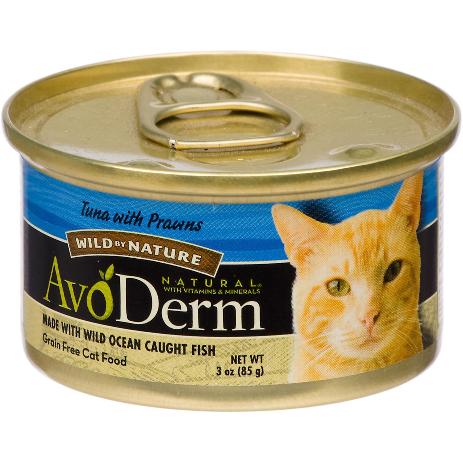 Avoderm Cat Food: A Nutritious and Wholesome Choice for Your Feline Friend