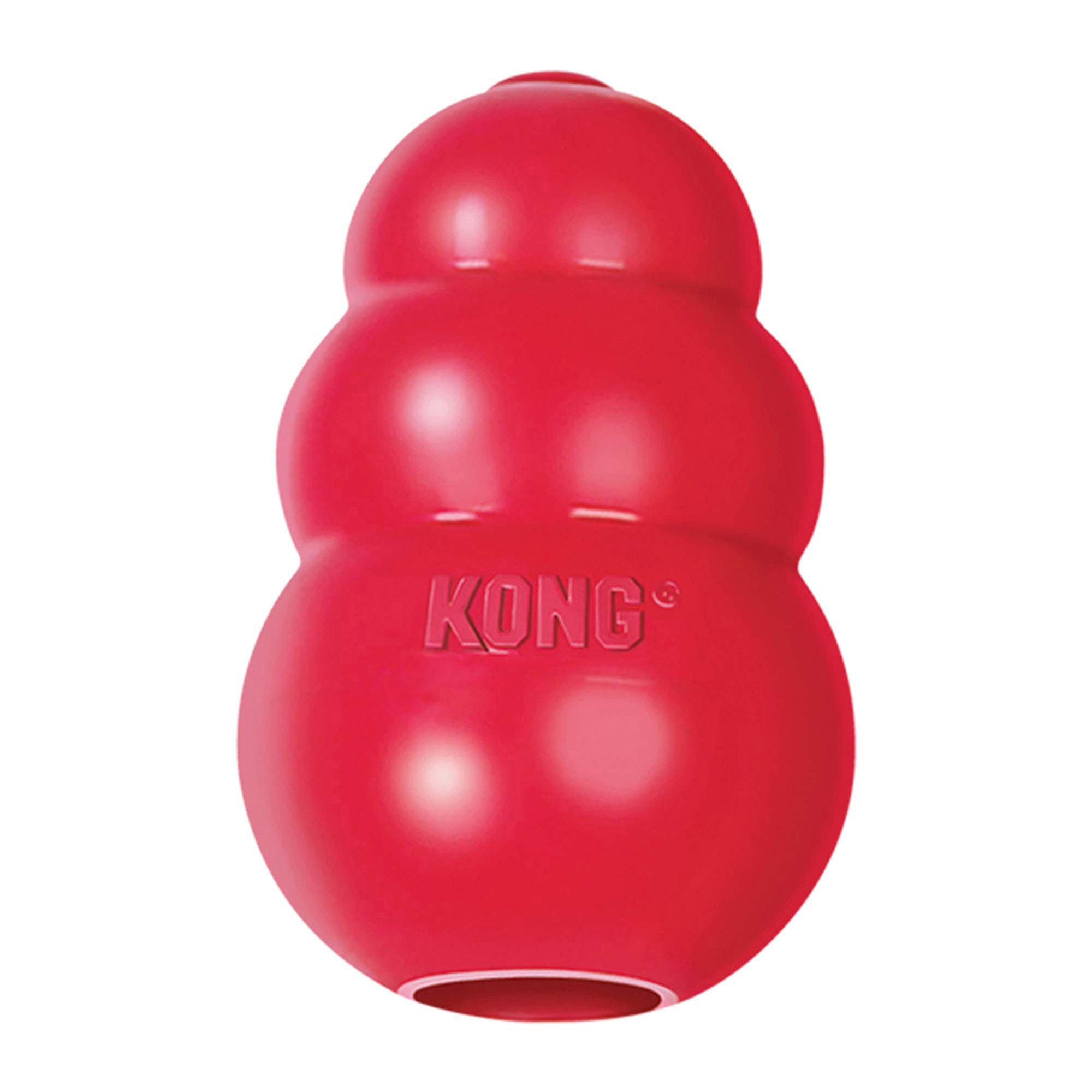 ideas to fill kong toys