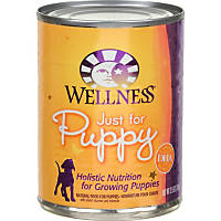 Wellness Just for Puppy Canned Food