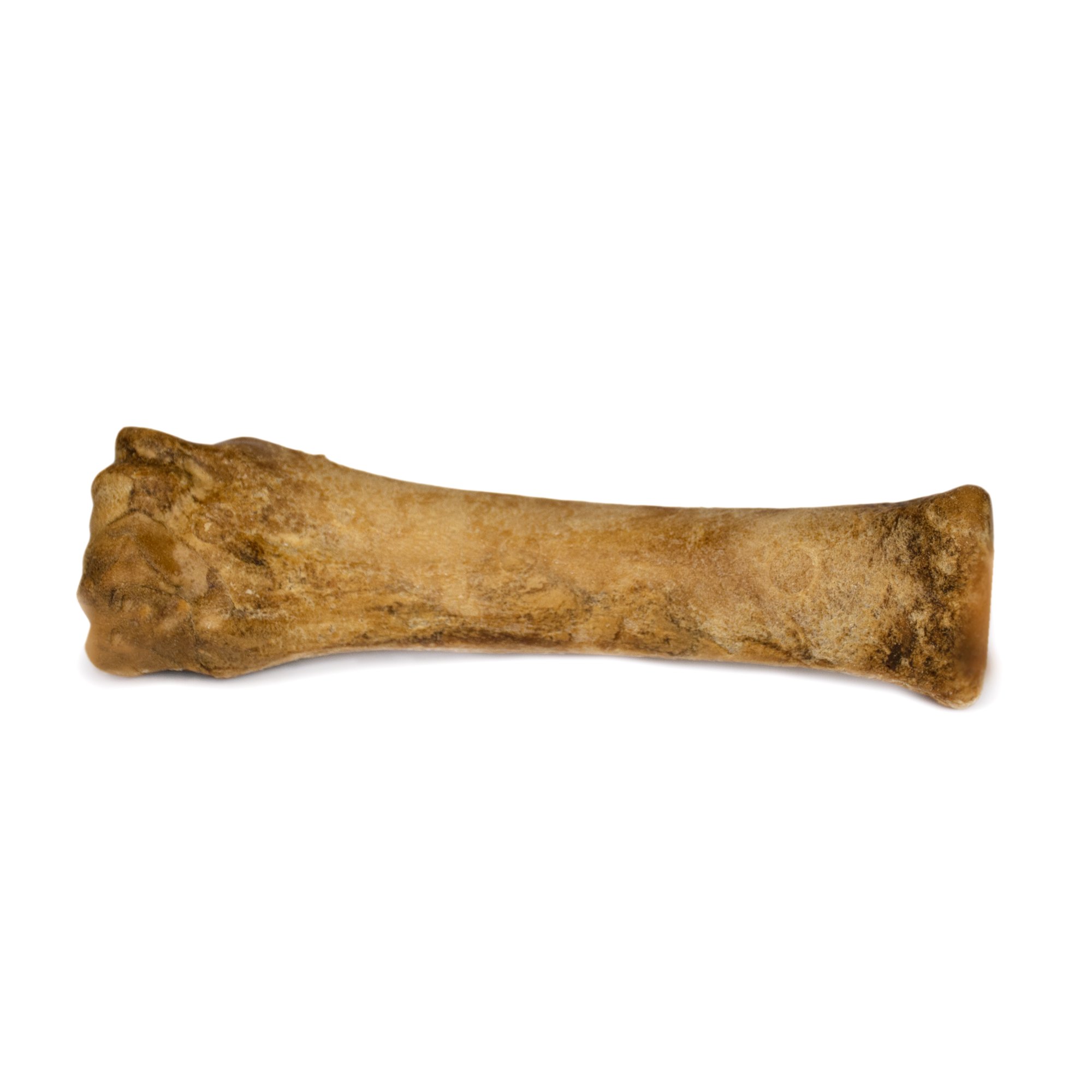 Nylabone Healthy Edibles Bacon Flavored Dog Bone Chews Petco