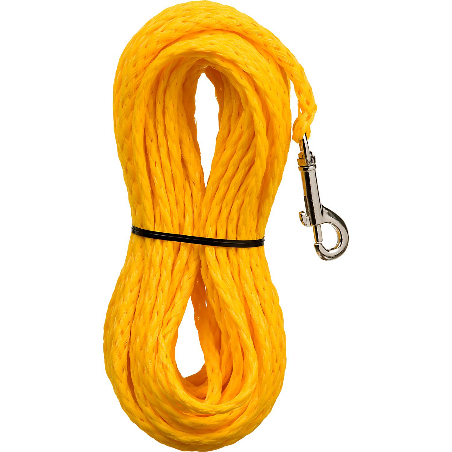 Remington Poly Check Cord Training Dog Leash Petco