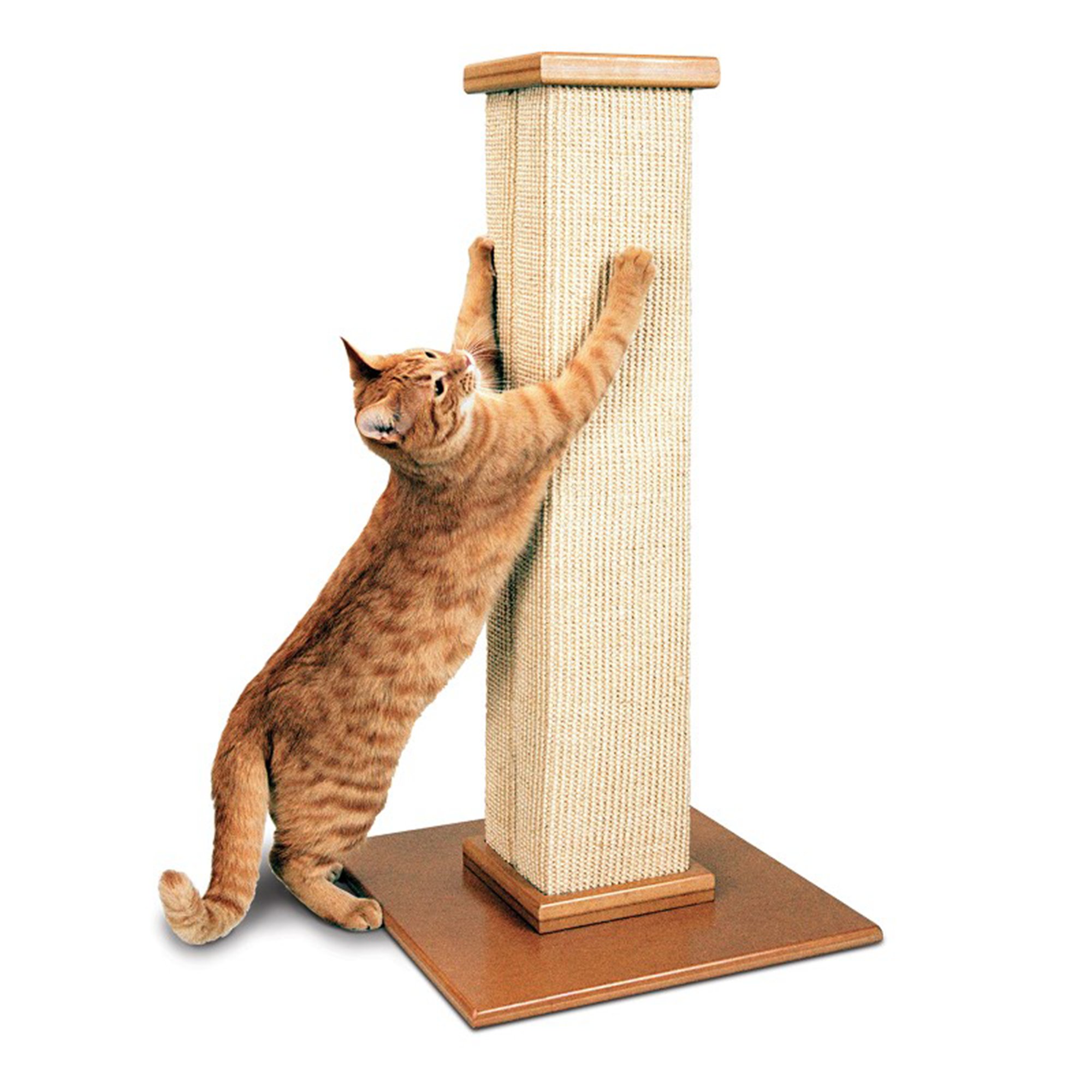 Cat Scratching Post How To Make at Henry Ray blog