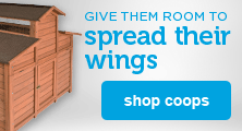 chicken coops - shop now