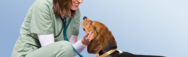 Pet Services Vaccination Clinics