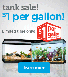 tank sale! $1 per gallon - learn more