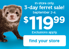 in-store only - 3-day ferret sale! Sept 2-4 - $119.99 - find your store