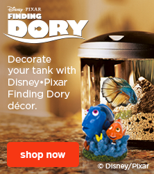 Decorate your fish tank with Disney-Pixar Finding Dory decor