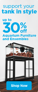 petco modern fish tank