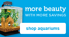 fish tanks on sale - shop now