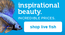 up to 25% off live fish - shop now
