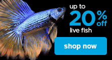 up to 25% off live fish - shop now