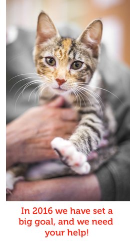 Petco Foundation