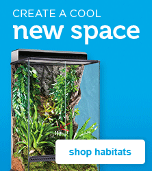 reptile habitats - shop now