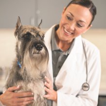 petco vet clinic schedule