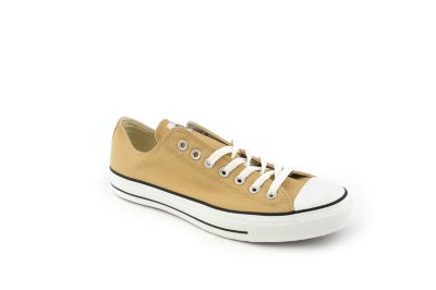 Mens All Star Lo