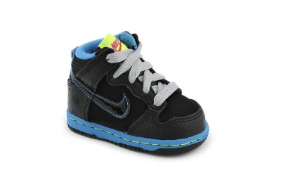 Toddler Dunk High ND (TD)