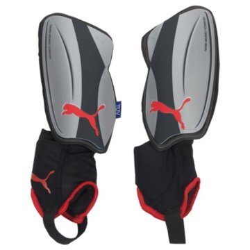 Puma V1.08