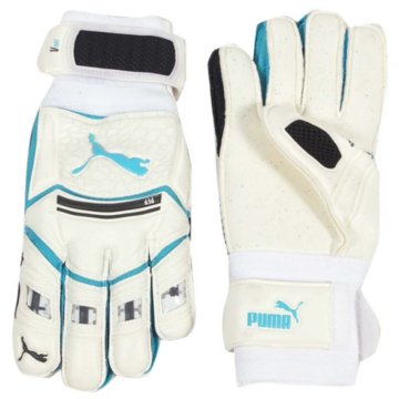 Puma V-Kat RC