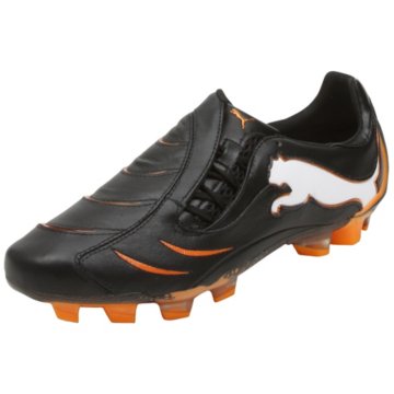 Powercat 1.10 FG