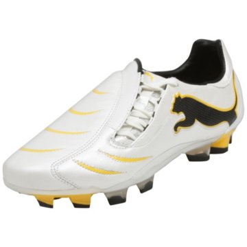 Puma PowerCat 2.10 FG