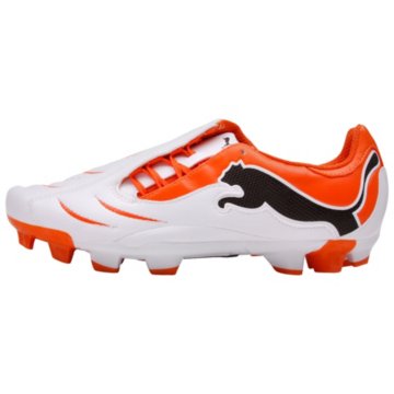  Powercat 3.10 FG