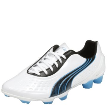 Puma v1.11 SL - 102324-02