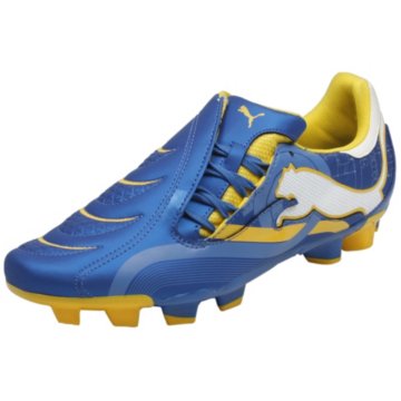 Puma PowerCat 3.10 Elektro FG