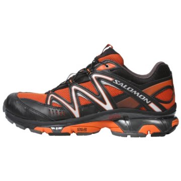  XT Wings 2