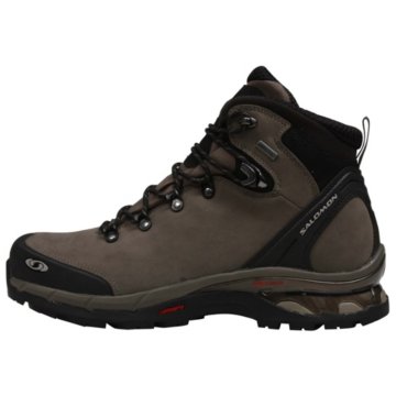  Comet Premium 3D GTX
