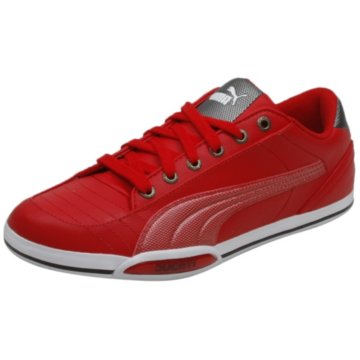 Puma 65cc Lo Ducati