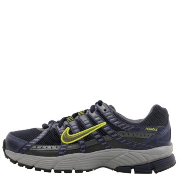 Nike Air Pegasus 2007 - 316581-491