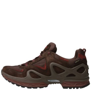 Lowa Argon GTX - 320572-4346