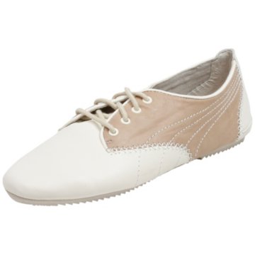 Puma Geselle