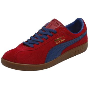Puma Bluebird