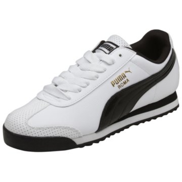 Puma Roma CV