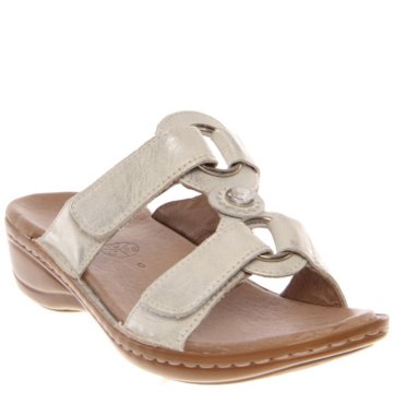Ara Henrietta - 37273-82