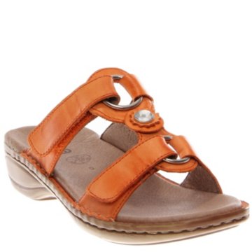 Ara Henrietta - 37273-87