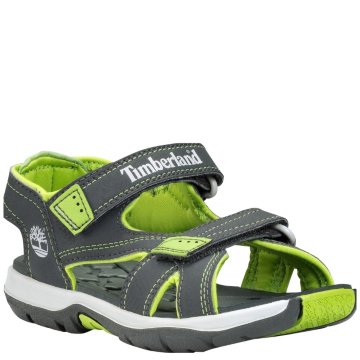 Timberland Mad River 2-Strap (Toddler) - 3883R