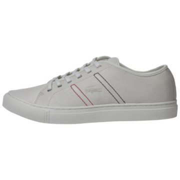 Lacoste Cerberus 8