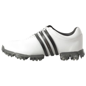 Tour 360 LTD