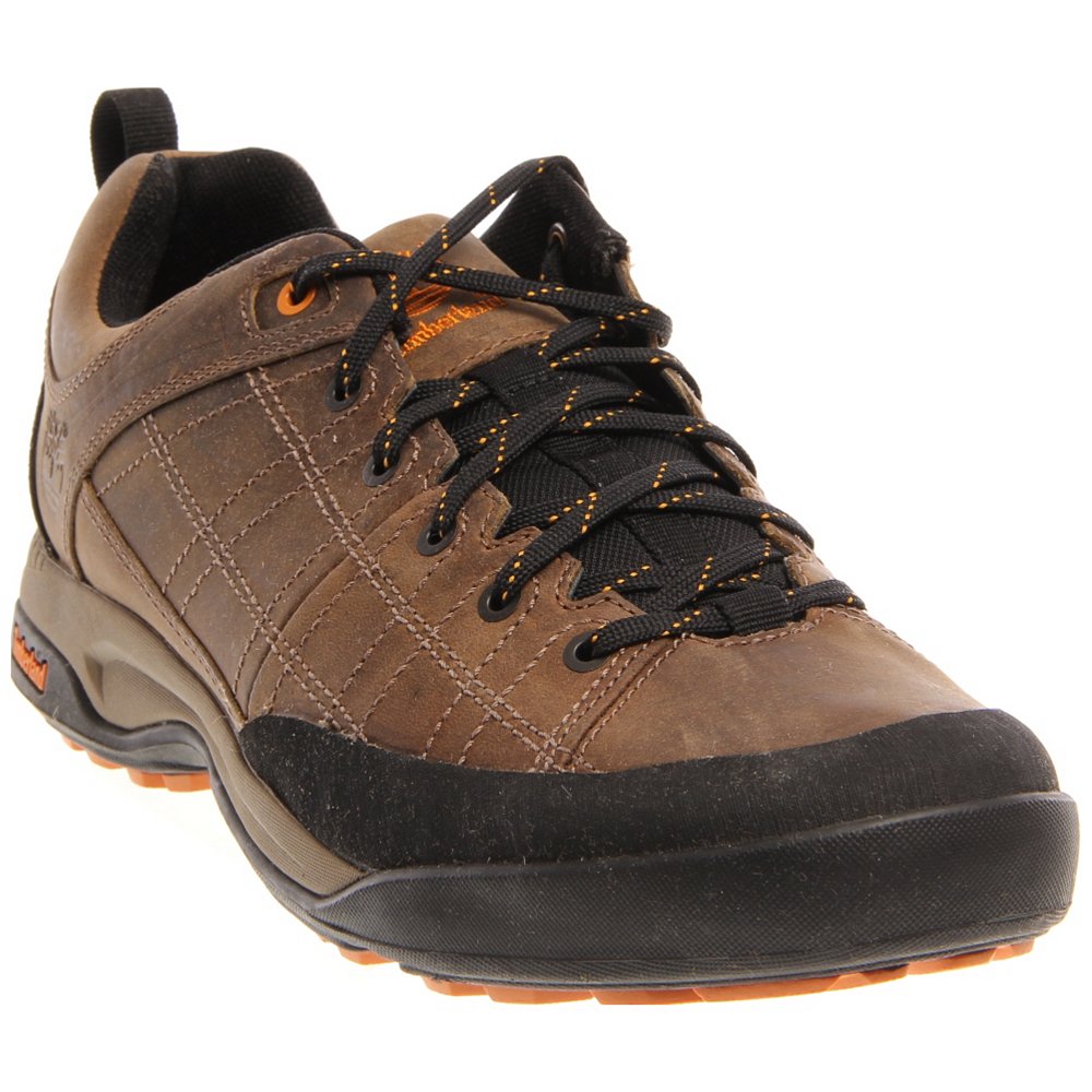 Timberland Men's Earthkeepers Radler Summit Hicking Shoes